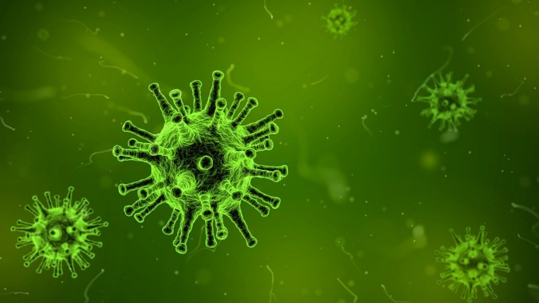 Coronavirus 19